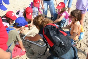 Scrigno Blu ed i custodi del Tesoro…continua il percorso intrapreso con le scuole