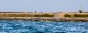 andrea_bruno_img_01_1